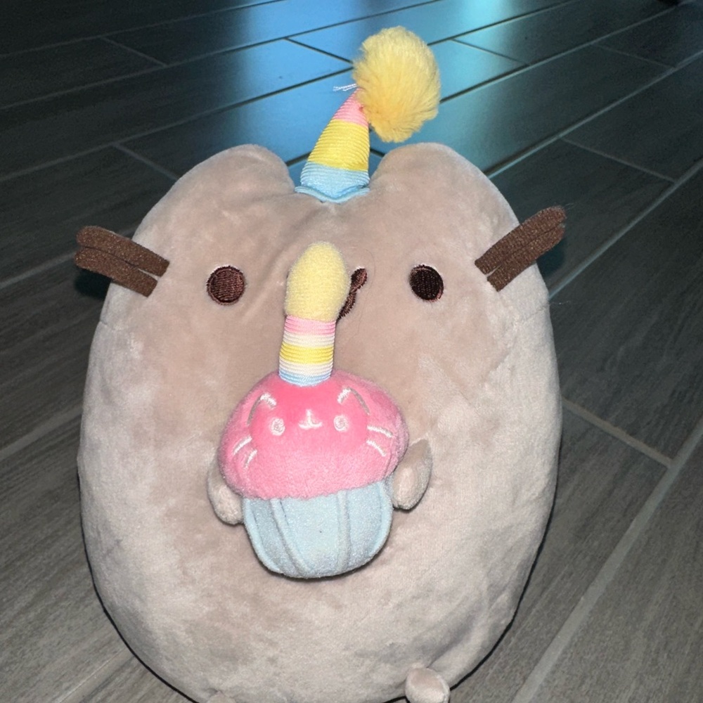 Big pusheen bday plush
